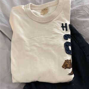Hollister crew with raised appliqué, 100% cotton, medium weight, EUC, size L